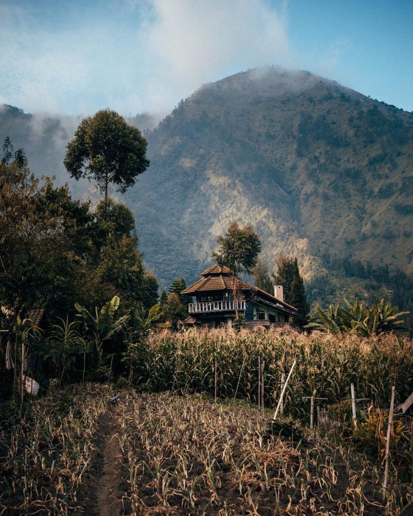 “Houses are like people – some you like and some you don’t like -&hellip;