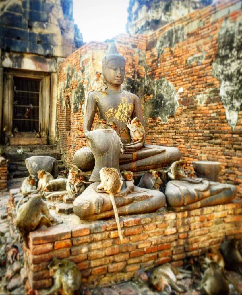 MONKEYS TEMPLE, LOPBURY ???????? • Cnd facebook te recuerda q hace 2 años, tal&hellip;