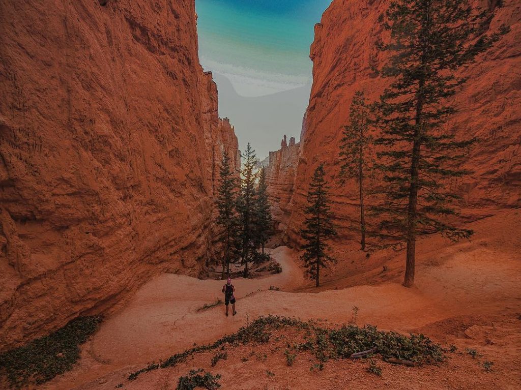 Bryce Canyon is one of the best canyons in terms of accessibility, you can&hellip;