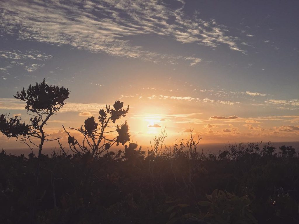 Sunsets wir können nie genug von sonnuntergängen kriegen, jeder Sonnenuntergang ist einzigartig! Wie besonders&hellip;