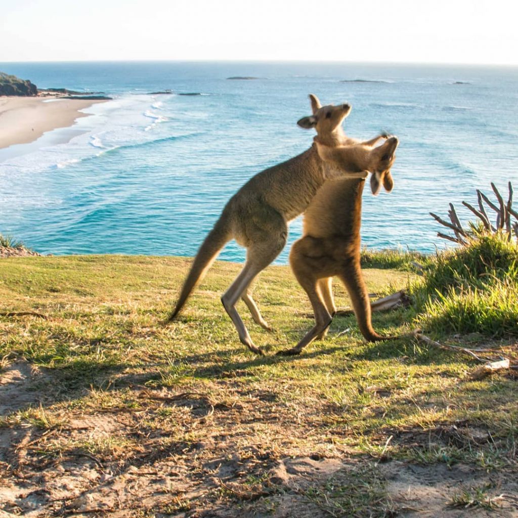 “The first rule of Fight Club is: you do not talk about Fight Club.&hellip;