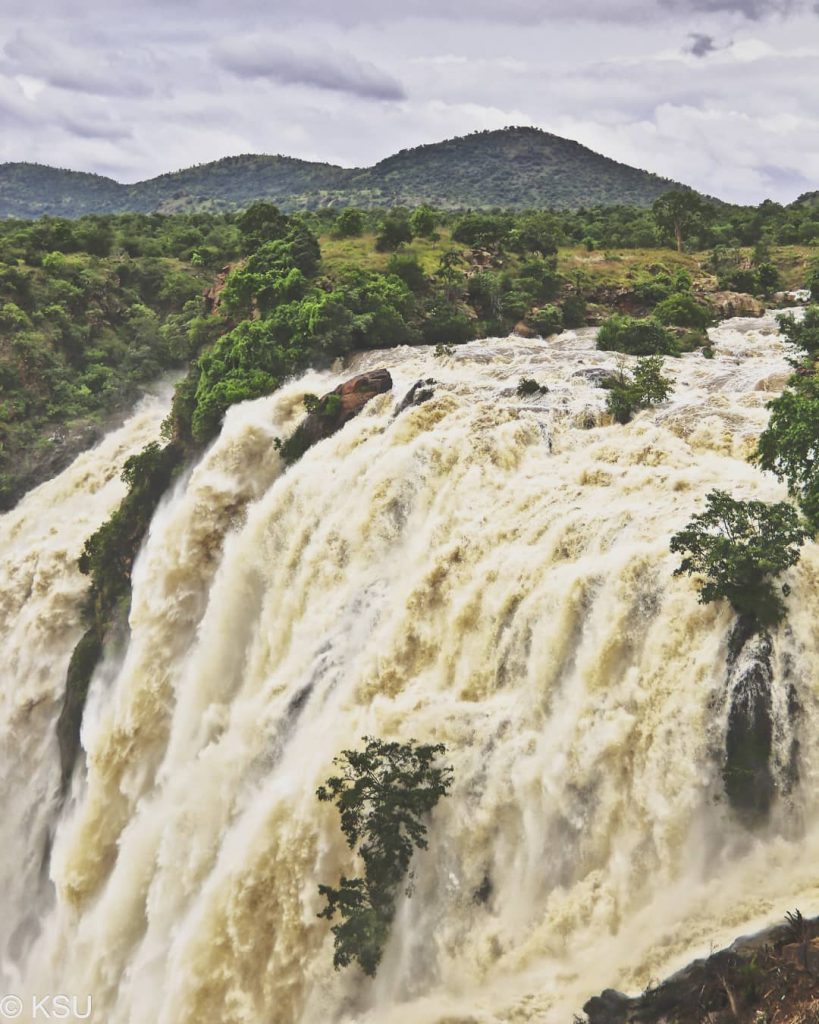 Gaganachukki at her glorious best ! Take sometime and go visit #ksutravelstories #karnatakatourism #indiatravel&hellip;