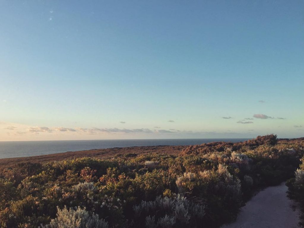 Wenn man eins gut in Australien machen kann (und auch sollte), dann sind es&hellip;