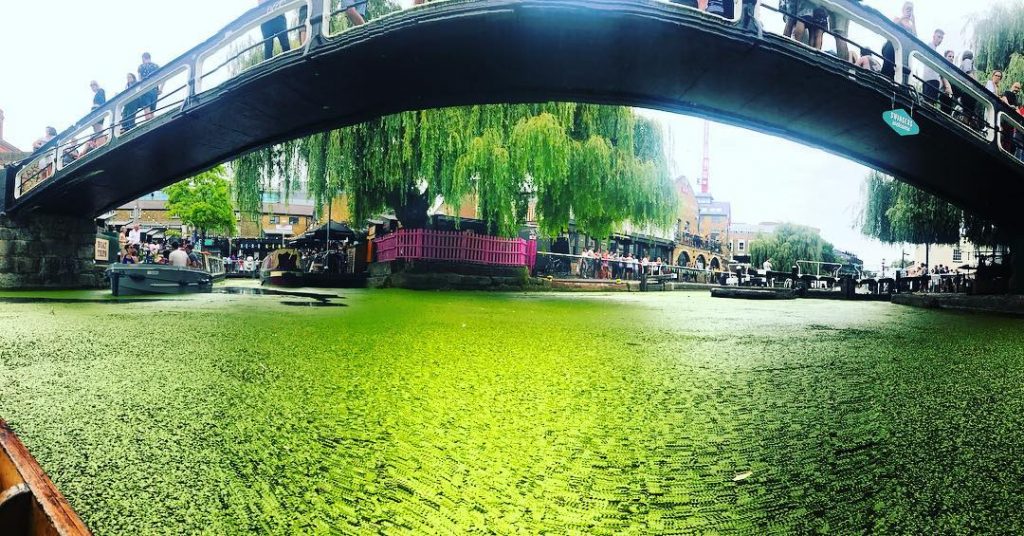 Paisajes increíbles como este ️ #candemtown @camdentownlondon #london #traveladdict #lovetravel #moment #bichoplastico #nature #river&hellip;