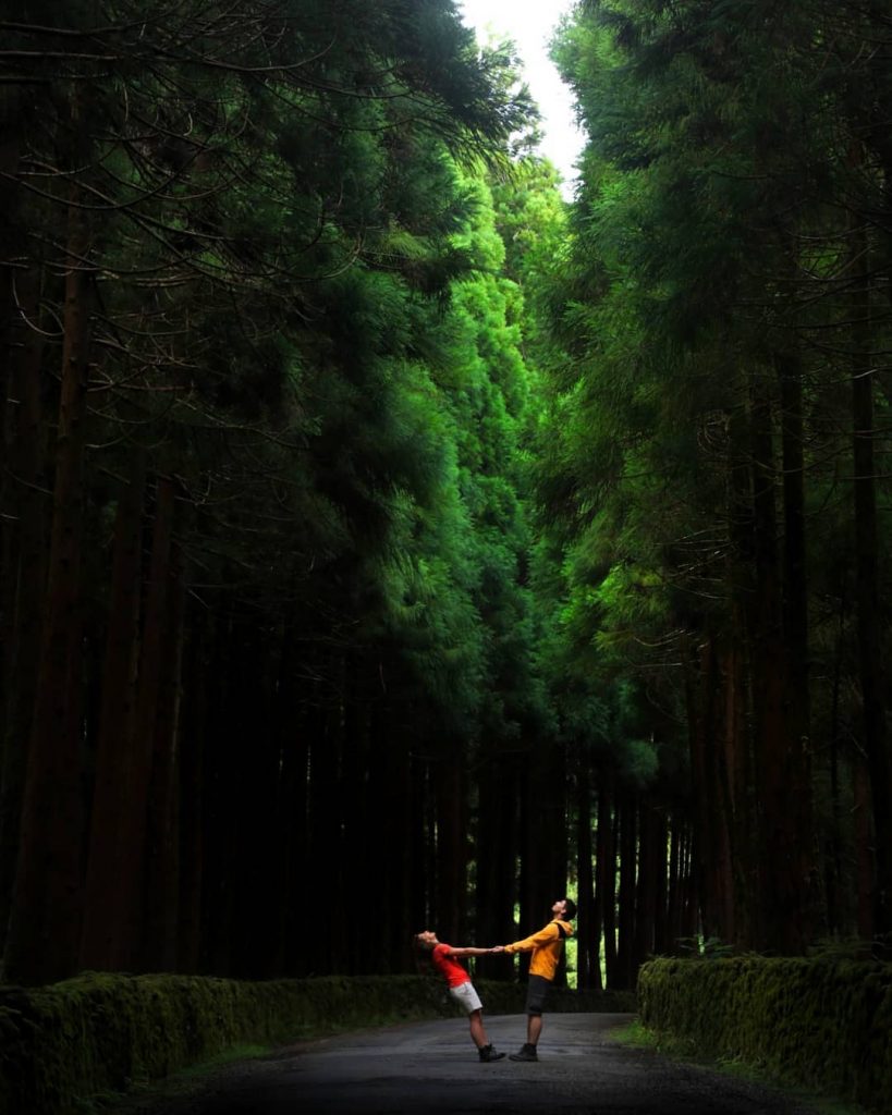 BEST VIEW TOUR Interior of Terceira Island In this tour you can explore the&hellip;