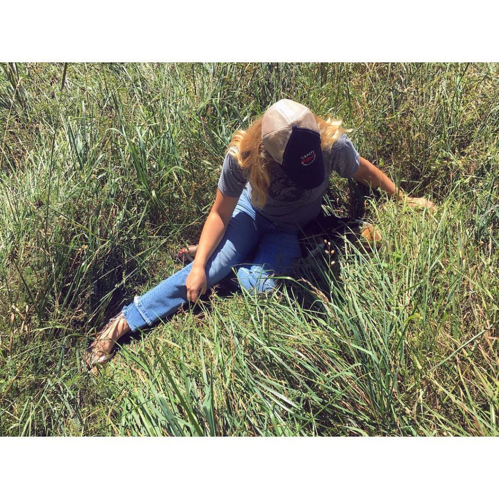 Spot the chunky pup!