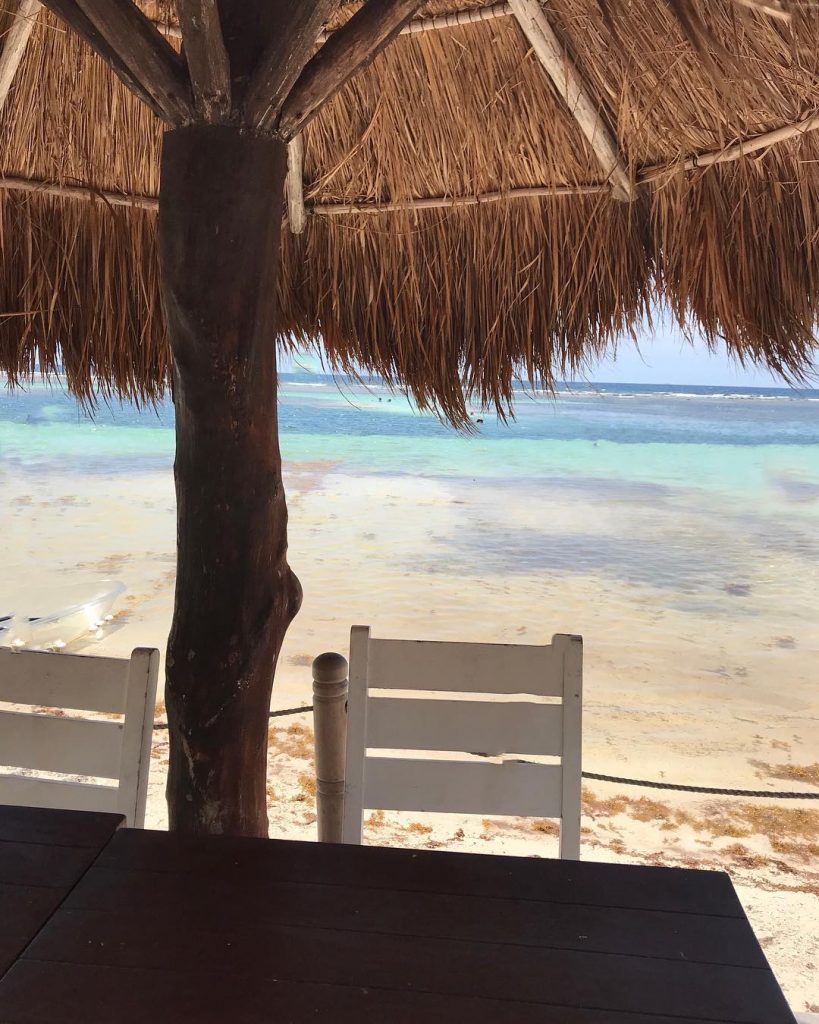 Paradise Found