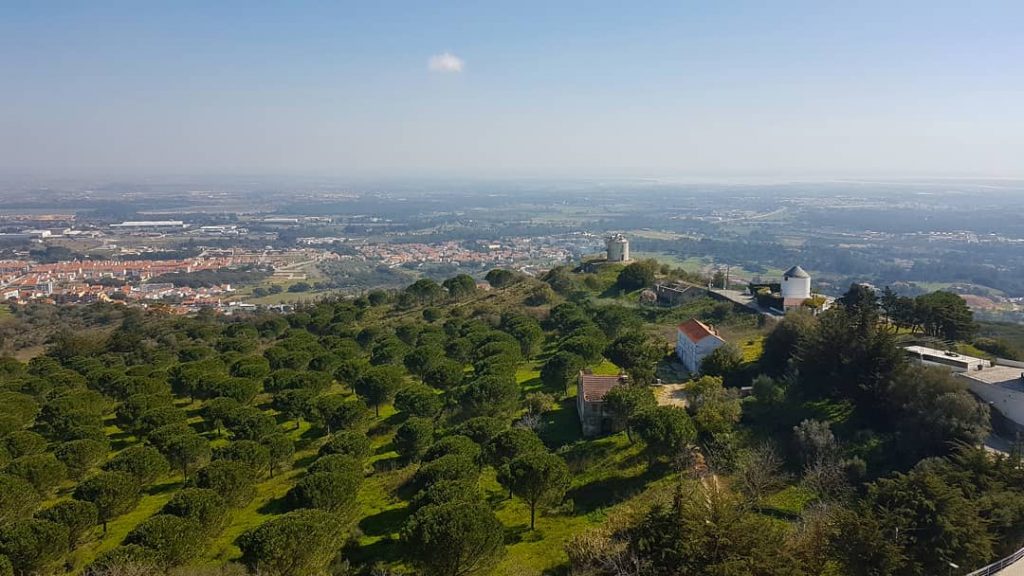 #palmera #urlaub #holiday #sun #travel #enjoyyourlife #travelphotography #lissabon #lisboa #portugal #portuguese #atlantic #atlanticocean #architecturephotography&hellip;