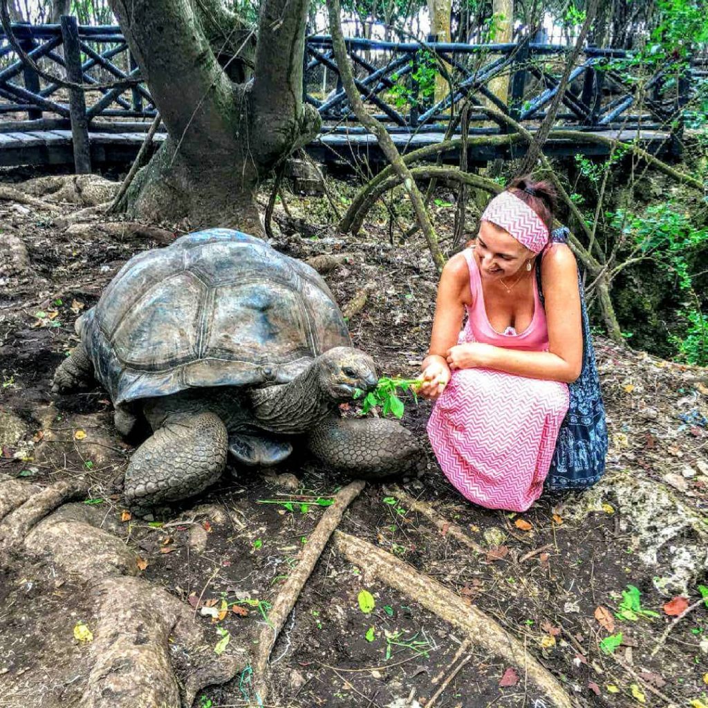 #Zanzibar #turtle @bearinmindlogbooks #bnesimppl #settoutiandco #worldpics #travelbloggerlife #unlimitedparadise #wheretofindme #wanderingsoul #wheretonext #realtravel #travelmore #&hellip;
