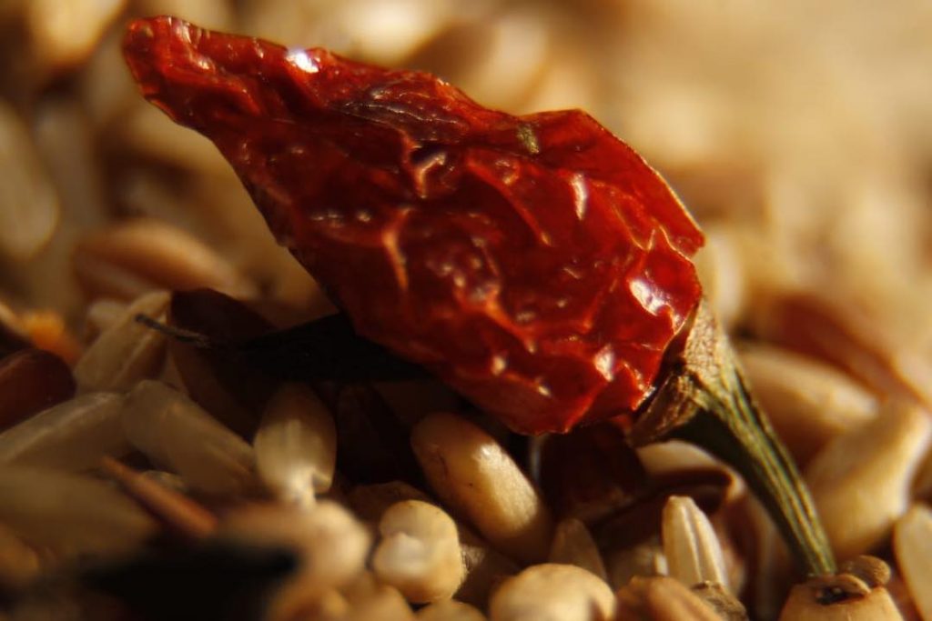 #Fotos #imagens #memorias #reliquias #sociedade #eurotrip #viajandoporai #rome #italy #coliseu #bnesimppl # #eurotrip #viajandoporai&hellip;