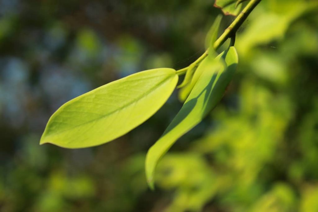 Do with your best #khmer #photography #nice #bnesimppl #cambodia #morning #happy #color #cute #nicepic&hellip;