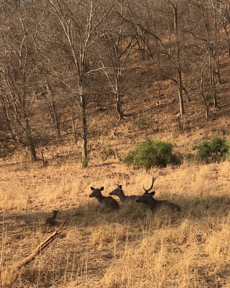 The family !!!???????????? . . . . . . . . . . .&hellip;