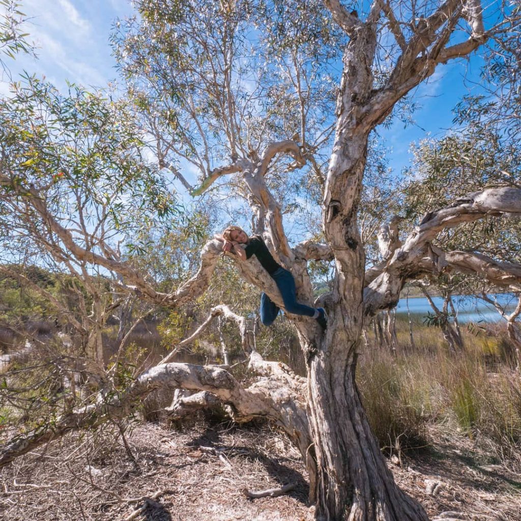 Be like a tree. Stay grounded. Connect with your roots. Turn over a new&hellip;