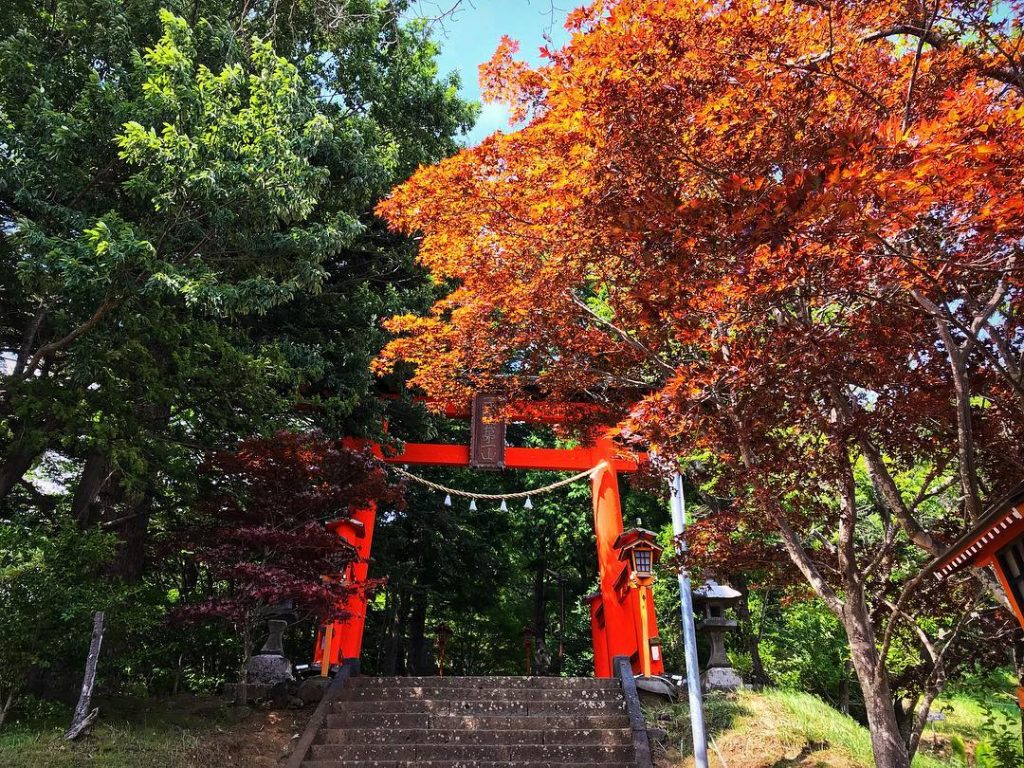 . #iamtb #tb #japan #wanderlust # travel #travelblogger #photography #art #designs #vscocam #flyscoot&hellip;