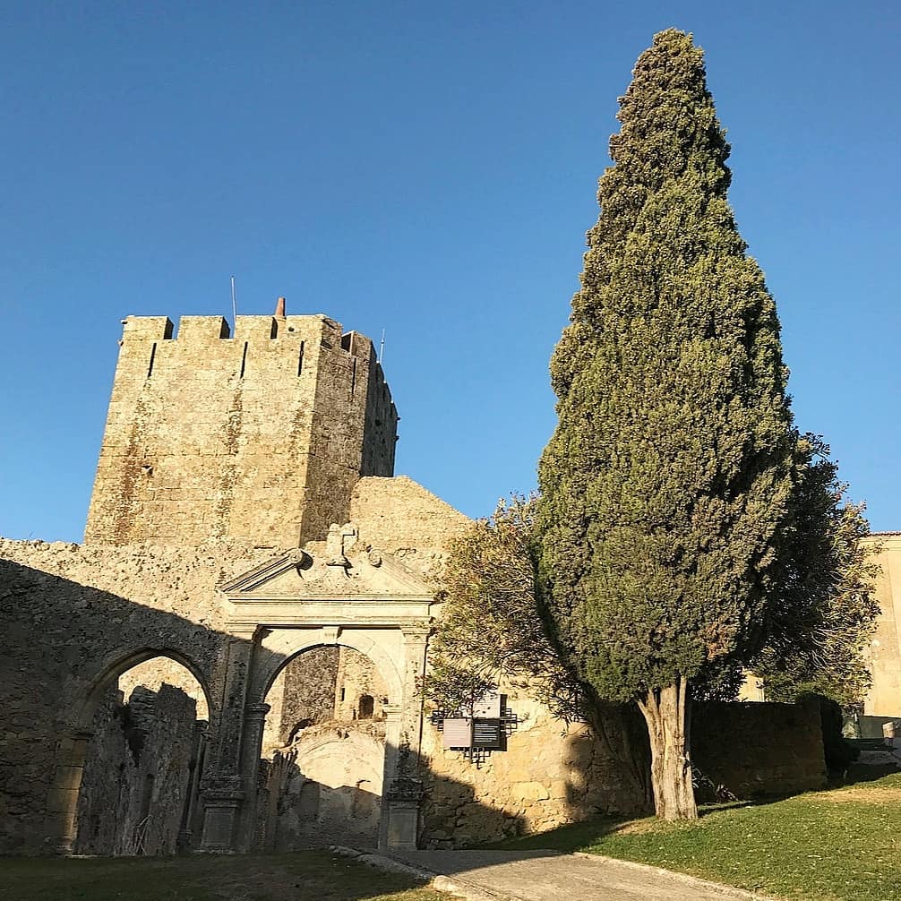 #palmera #urlaub #holiday #sun #travel #enjoyyourlife #travelphotography #lissabon #lisboa #portugal #portuguese #atlantic #atlanticocean #architecturephotography&hellip;