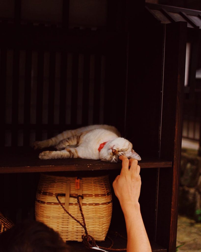 round every corner #exploreJPN ????????