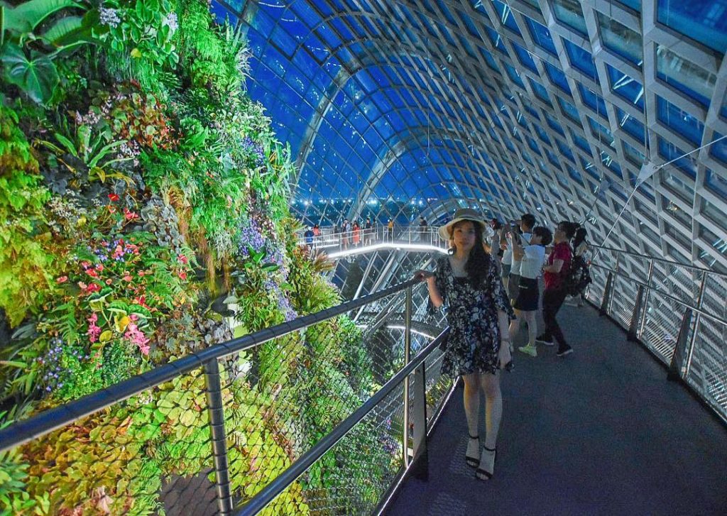 At night, the blue sky made the garden more incredible #singapore #trip #travel #travelblogger&hellip;