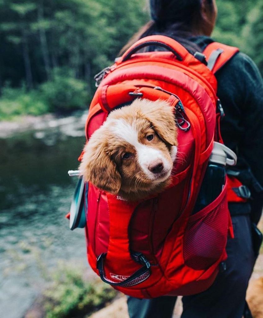 sɪx ɪɴᴄʀᴇᴅɪʙʟᴇ ᴘʟᴀᴄᴇs ᴛᴏ ɢᴏ ʜɪᴋɪɴɢ ᴛʜɪs sᴜᴍᴍᴇʀ ⠀ ⠀ ⠀ ⠀ ⠀ ⠀&hellip;