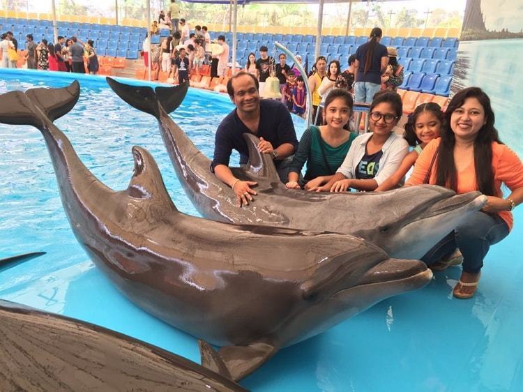 Enjoyable Dolphin show at Bangkok #landscapstyles #travelphotography #travelblogger #voyage #folkmagazine #chicago #exklusiveshot #visualsofearth #beautifuldestinations&hellip;