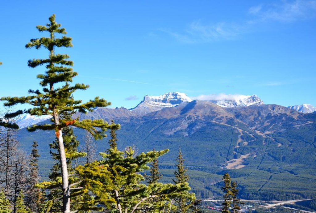 Back to photos of days/holidays from the Taking in the view whilst hiking near…