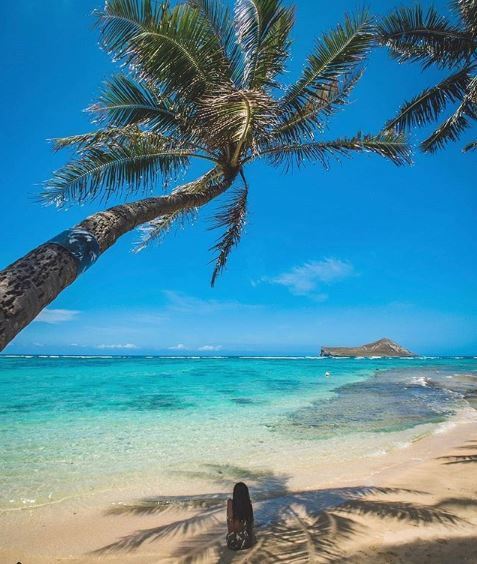 The amazing beauty of Hawaii #beautifulplaces #landscapstyles #travelphotography #travelblogger #voyage #folkmagazine #chicago #exklusiveshot #visualsofearth&hellip;