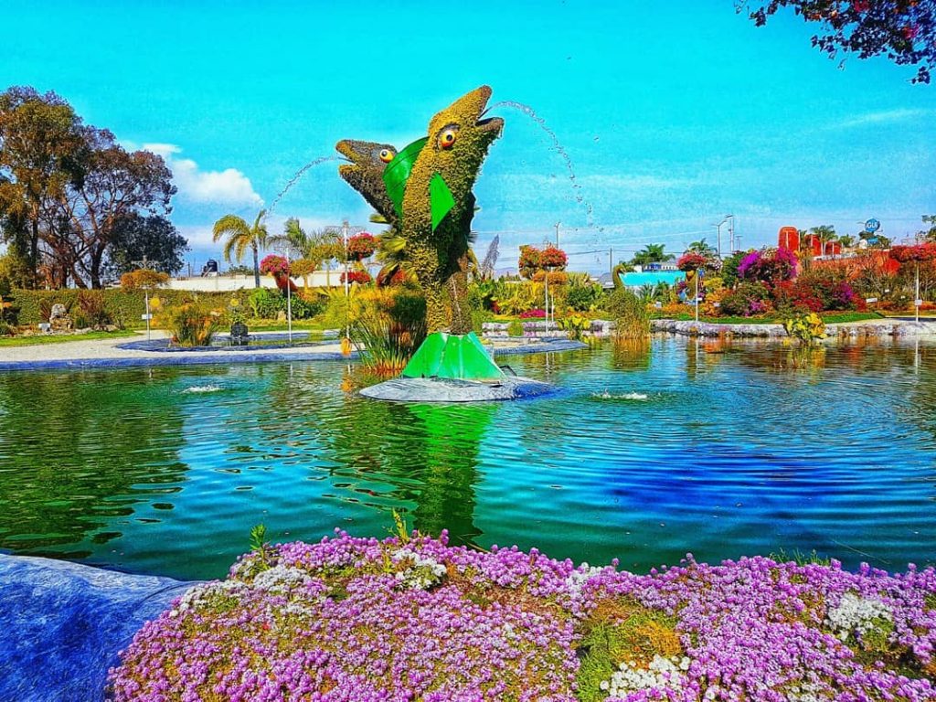 Jardinería profesional. #demochilazo #vive_mexico #mexico_maravilloso #lovesmexico #mexicodesconocido #pasionxmexico #instamexicanos #mexicoamazing #travel #travelblogger #travelpics #beatifuldestinations…