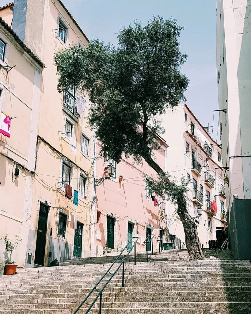 Tb. . . . . #streetlife #girlaroundworld #paris #travelinladies #thegypsymovement #iamtb #parisienne #girlsthatwander #dreamingnature&hellip;