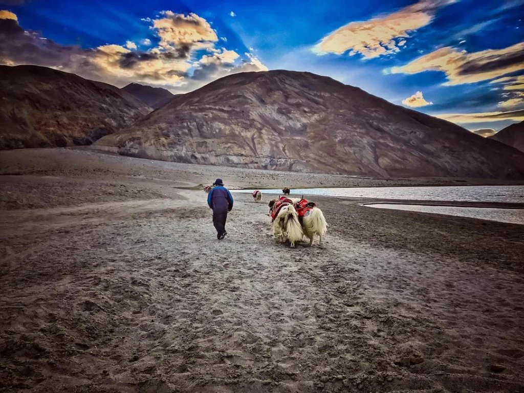I’m a shepherd, not a sheep, and I’ve always prided myself on being a&hellip;