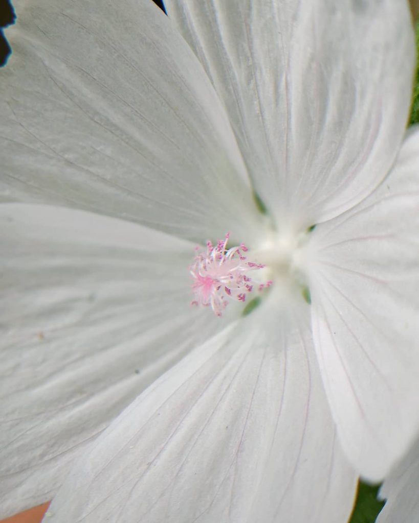 Beauty of the nature . . . . . . . . . .&hellip;