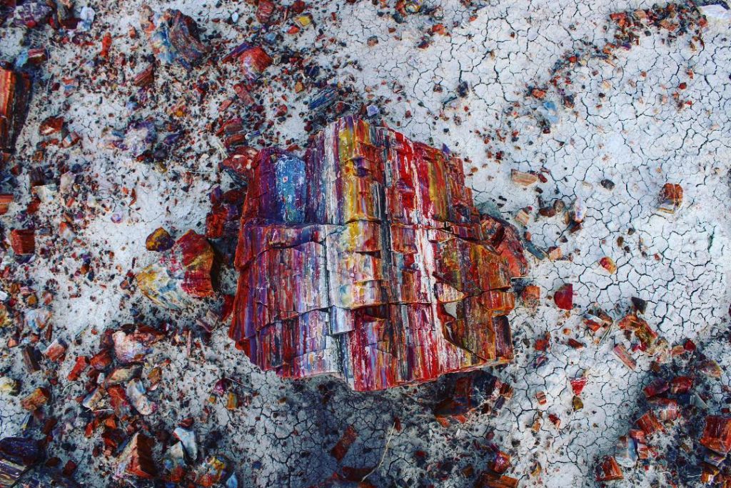 The Petrified Forest. Colourful wood as hard as stone . . . : Canon&hellip;