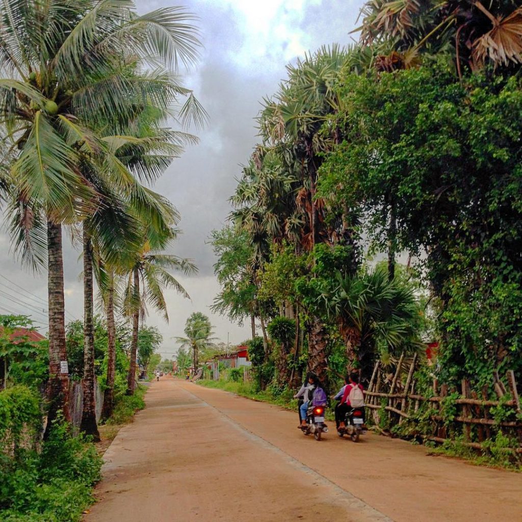 If you ain’t knocking back happy shakes and going for a wander when in&hellip;