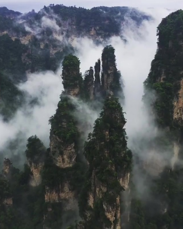 Did you find an avatar? #landscapstyles #exklusiveshot #visualsofearth #beautifuldestinations #ilovetravel #amazing #hermanosviajeros #iloveamsterdam #sanfrancisco&hellip;