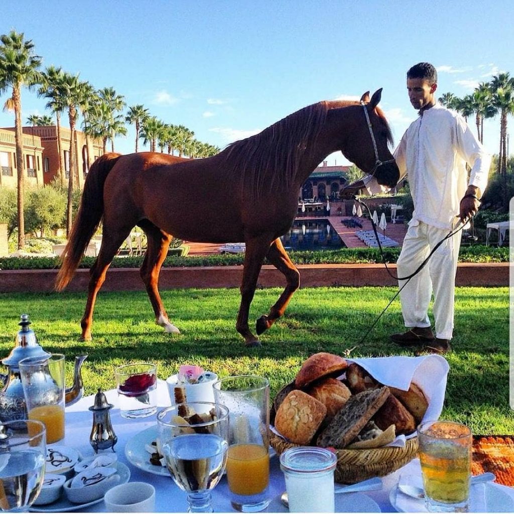 If you love horses then you will enjoy this #breakfastwithaview #SelmanMarrakech ___ #shesaidyes #engaged&hellip;