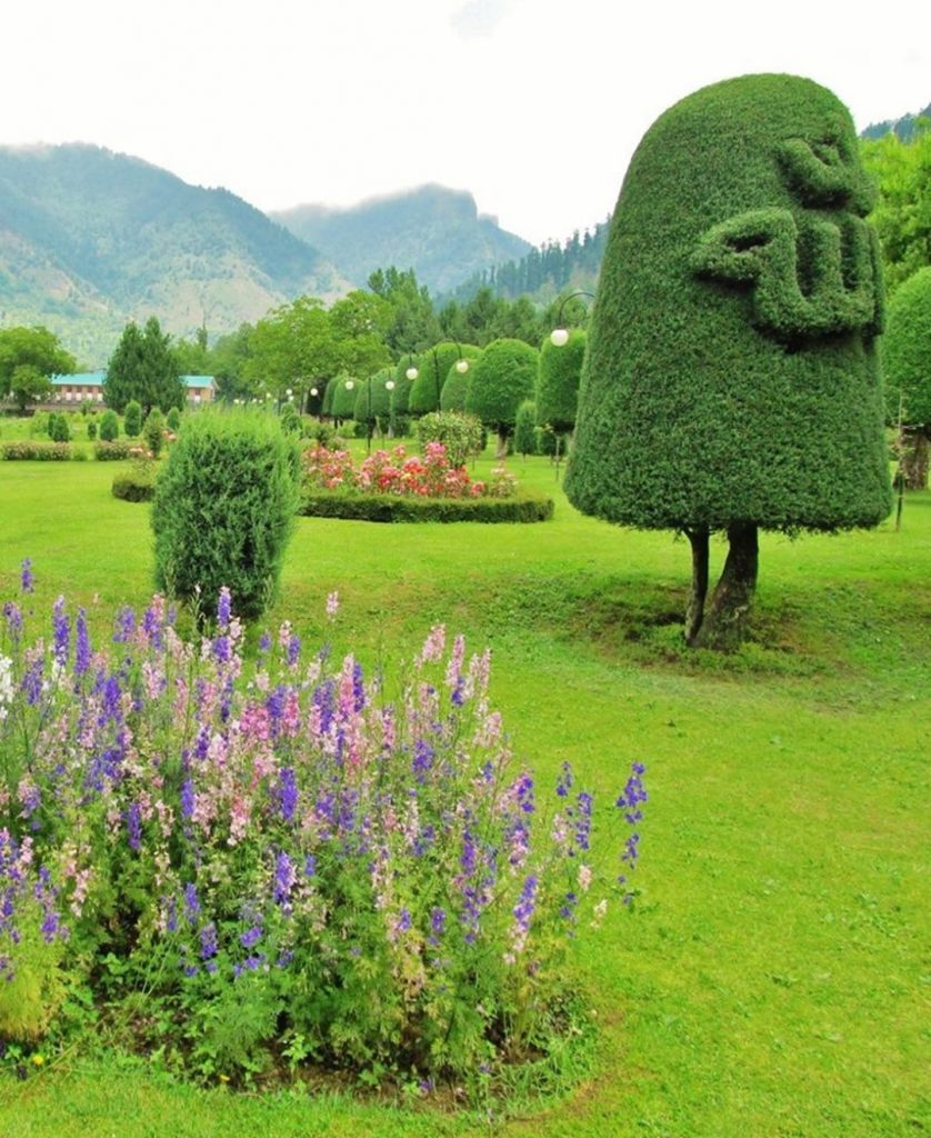 The beautiful valley is Pahalgam, Kashmir #hermanosviajeros #iloveamsterdam #kashmir #igersnetherlands #winterlove #visitamsterdam #bnesimppl #loves_amsterdam&hellip;
