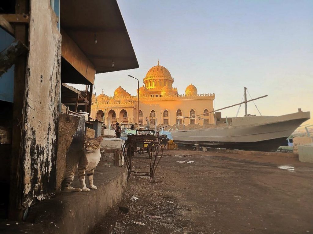 MERCADO DE PESCADORES EN HURGHADA, EGIPTO ???????? Detrás de todas las fotos de templos&hellip;