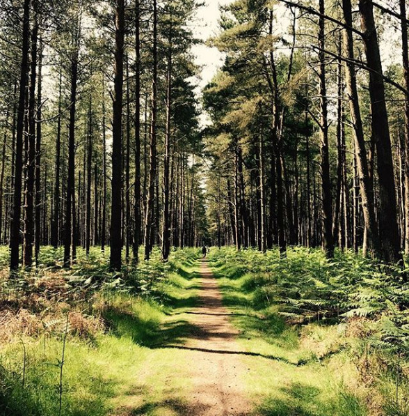 Beautiful nature #landscapstyles #travelphotography #travelblogger #folkmagazine #chicago #exklusiveshot #visualsofearth #beautifuldestinations #ilovetravel #amazing #hermanosviajeros #iloveamsterdam&hellip;