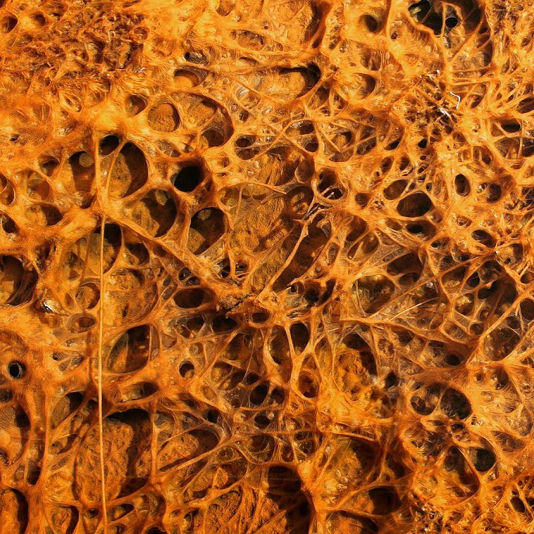 Of all the strange things, this from a river in Yellowstone National Park. Is&hellip;