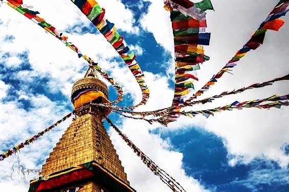 #Nepal #AnM #avventurenelmondo #instatravel #travelgram #tourism #travelblogger #wanderlust #ilovetravel #instatravelling #instapassport #travelling #trip #traveltheworld&hellip;