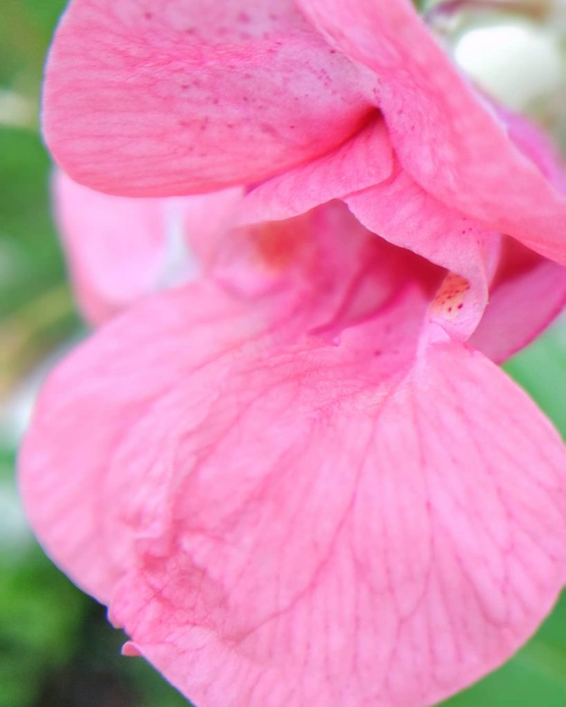 Beauty of the nature . . . . . . . . . .&hellip;