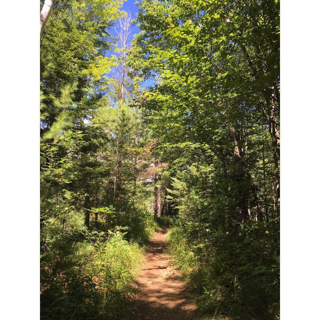 Passer du temps dans les bois!