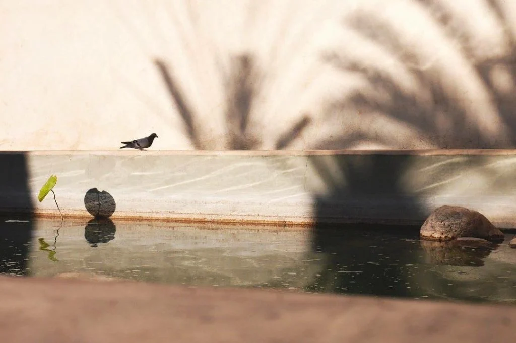 #love #travel #trip #vacation #summer #marrakech #kasbah #kasbahlemirage #marokko #bohostyle #bohochic #bohointeriors #interieur #interiordesign&hellip;