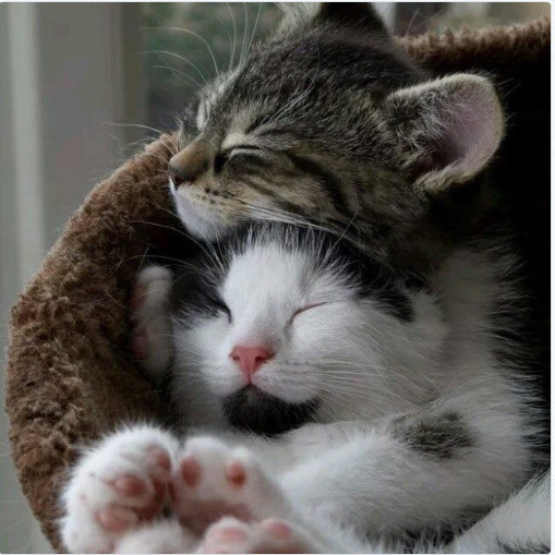 feeling so cool #igersnetherlands #winterlove #visitamsterdam #bnesimppl #loves_amsterdam #cityphotography #madeinsephora #topamsterdamphoto #travallover #luvtraveling #heartofitaly&hellip;