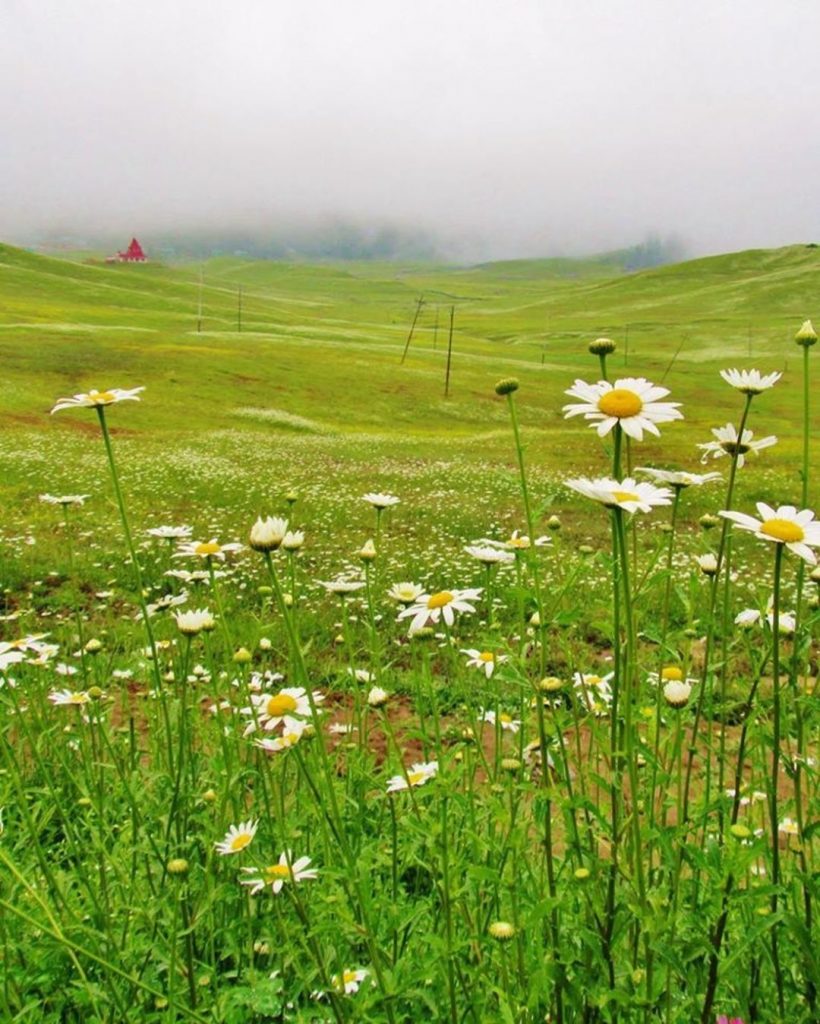 Gulmarg is one the best places to visit in Kashmir #landscapstyles #exklusiveshot #visualsofearth #beautifuldestinations&hellip;