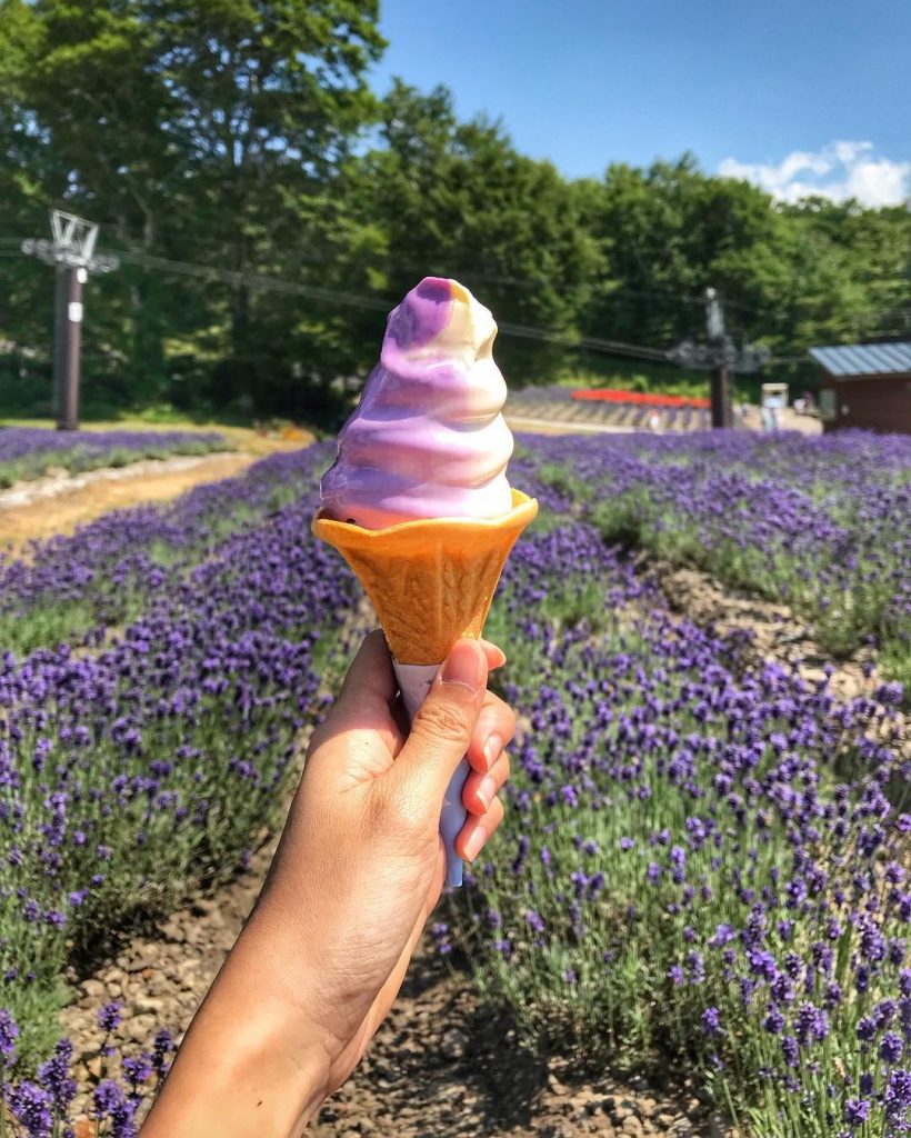 Tambara Lavender Park Gunma , Japan ???????? . #iamtb #tb #japan #wanderlust # travel&hellip;