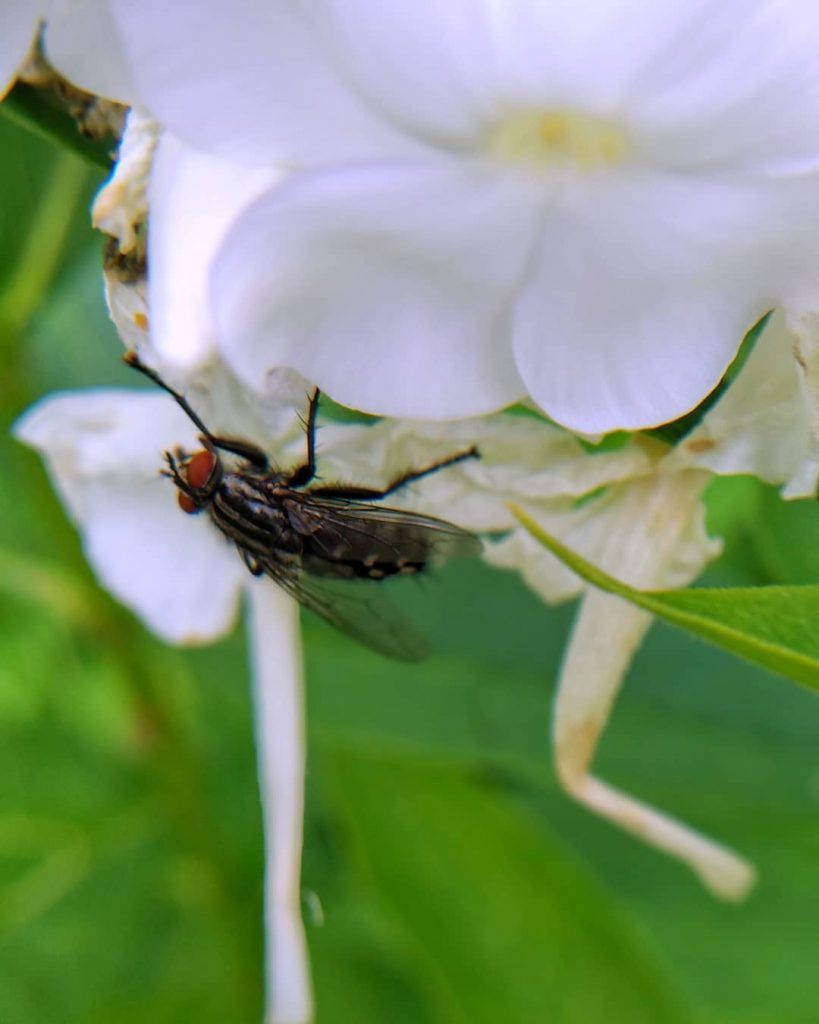 Beauty of the nature . . . . . . . . . .&hellip;