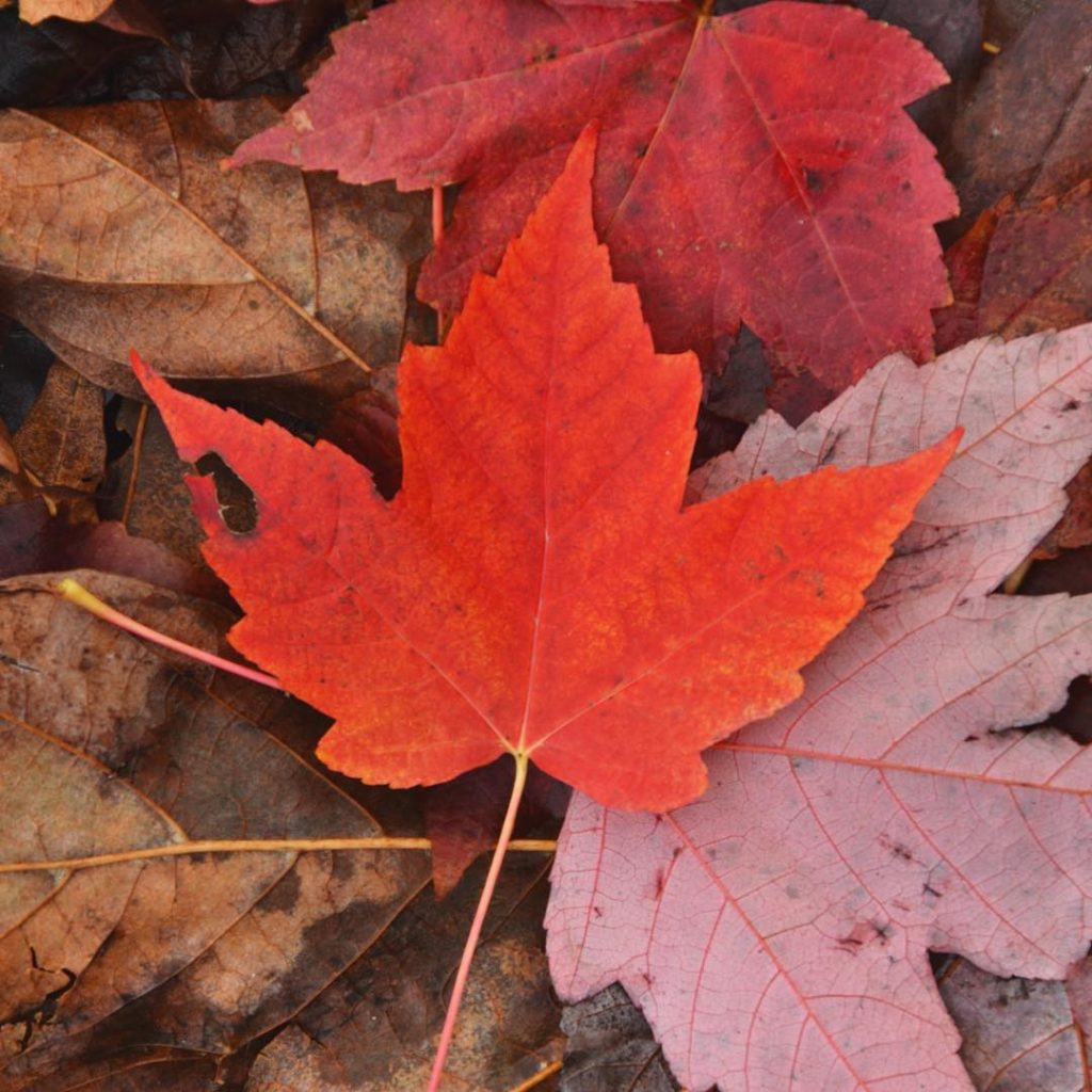 The weather has taken a sudden turn and it feels like autumn might already&hellip;