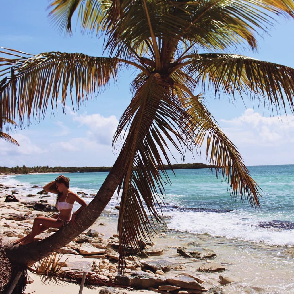 #tbt #palm #paradise #island #holiday #trip #view #polishgirl #instatravel #photo #tropicalisland #tropical #adventure #traveller&hellip;