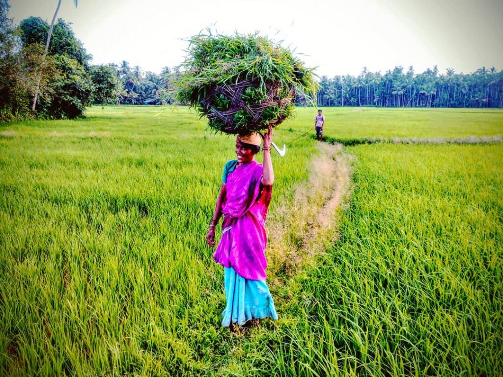 Throwback to some years behind us. To another continent, to the beautiful country India!&hellip;