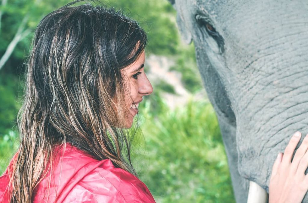 La complicidad entre persona y animal es única #wild #animal #elephant #girlaroundworld #thailand #acolorstory&hellip;