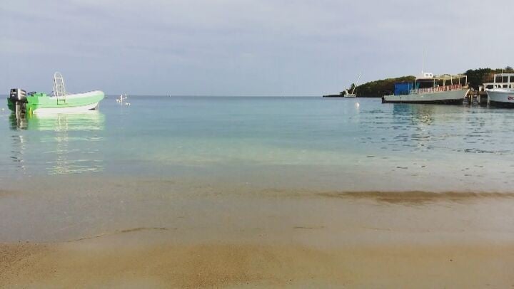 El mar lo cura todo . . . #love #nature #roatan #honduras #ocean #sand…